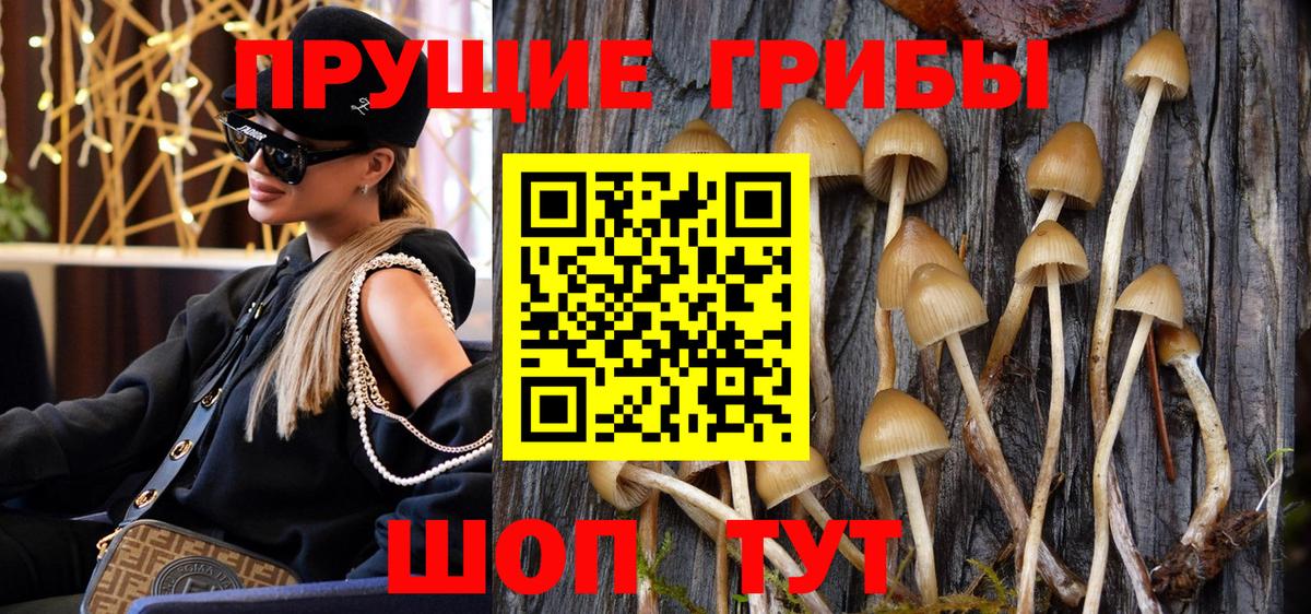 Галлюциногенные грибы мицелий  Вход с VPN  Ногинск 