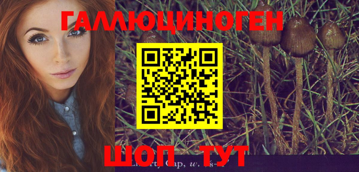 КОКАИН  A-PVP СК кристаллы  Конопля  Наркошоп  Меф МЯУ МЯУ   Вход с VPN  Ногинск  МЕТ  НБОМе  ГАШ  Меф МЯУ МЯУ 